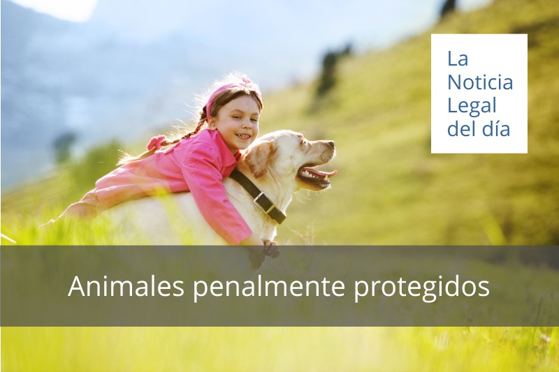 Animales penalmente protegidos